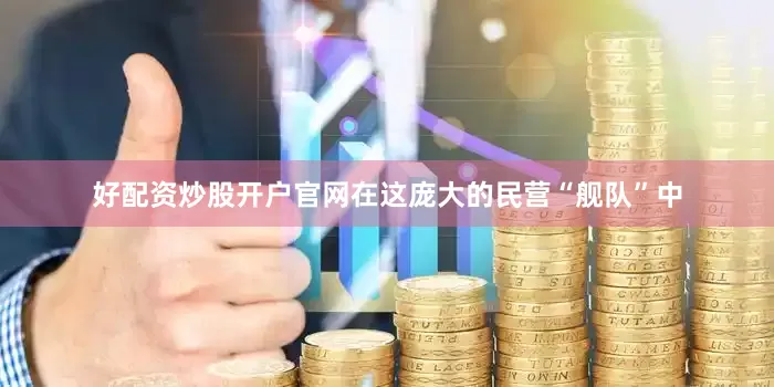 好配资炒股开户官网在这庞大的民营“舰队”中